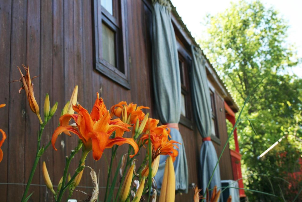 El Sendero - Gueiraldes B&B San Antonio de Areco Εξωτερικό φωτογραφία